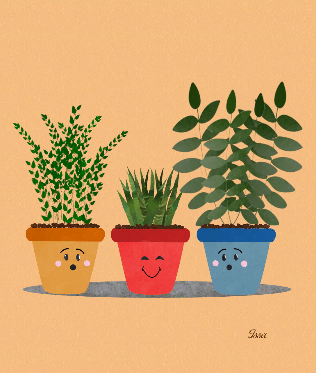 3 pots-boho style-Issa.jpg