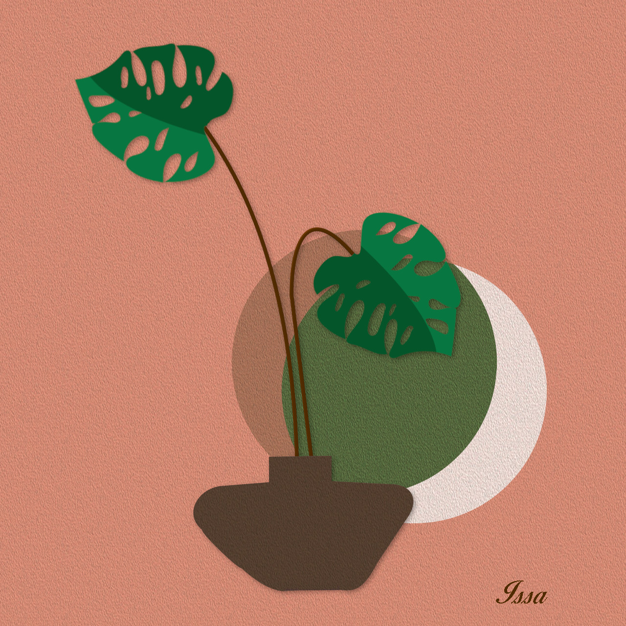 plant-boho-gimp-Issa.JPG