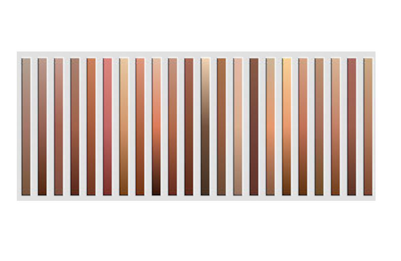 skin-001.jpg