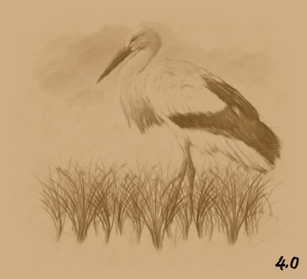 example40.jpg