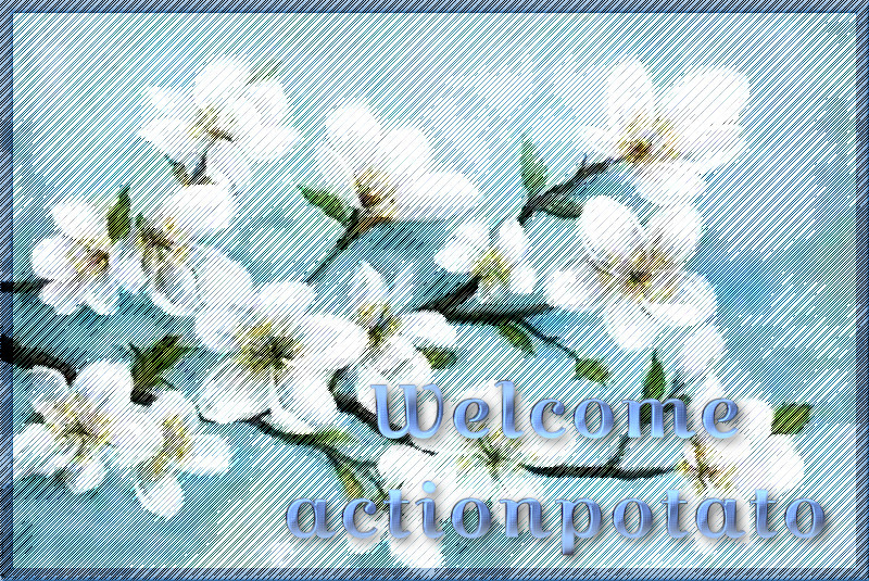 Welcome-actionpotato.JPG