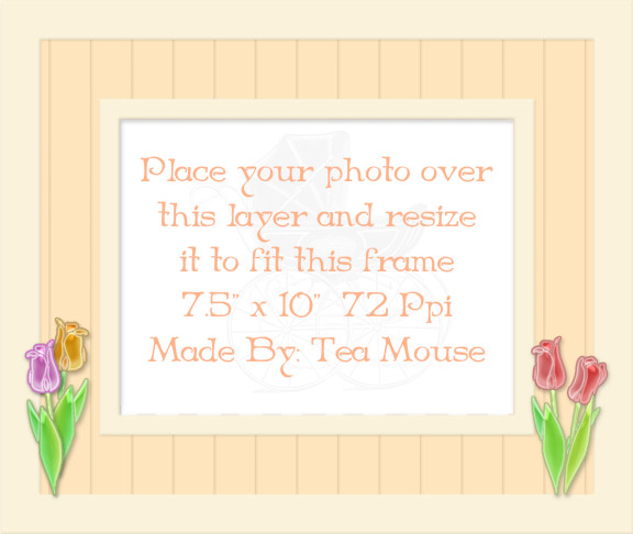 Baby-Frame-11.jpg