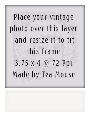 polaroid-01.jpg