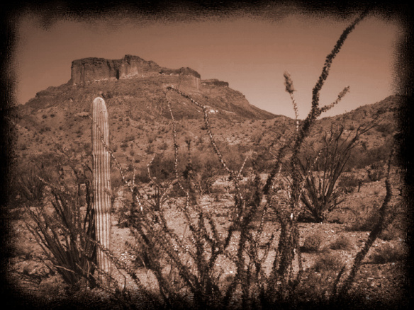 Desert.jpg