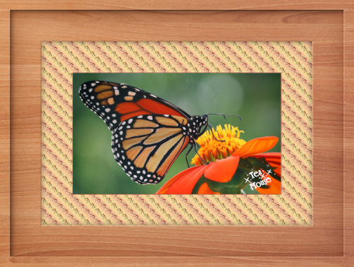 Gimp-Chat-Wide Wooden-07.jpg