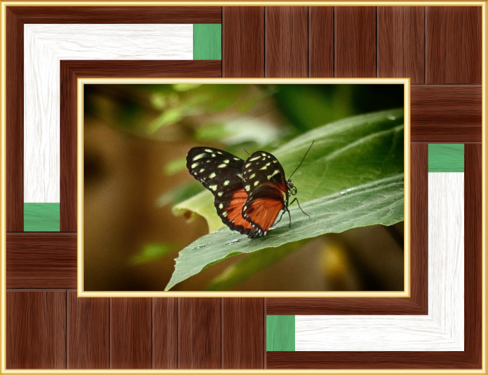 GC-8x12 wooden Frame Green 96Ppi.jpg