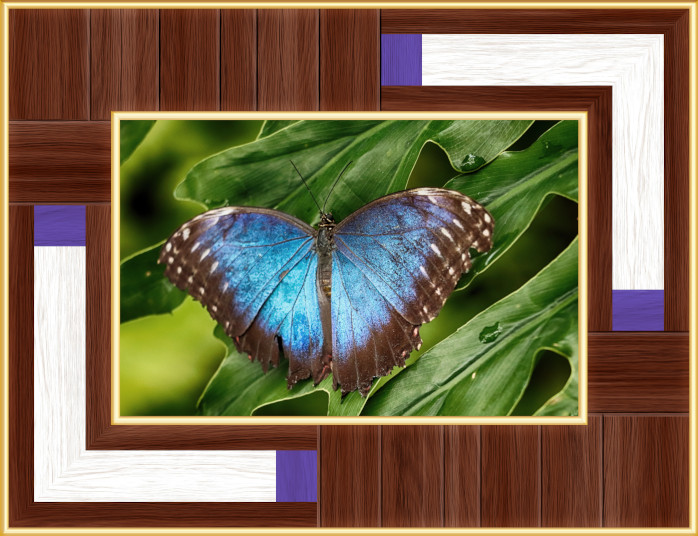 GC-8x12 wooden Frame Blue 96Ppi.jpg