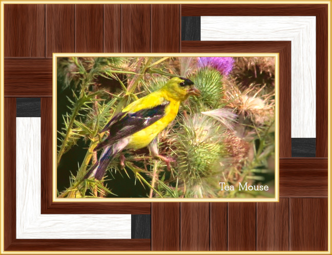 GC-8x12 wooden Frame Black 96Ppi.jpg
