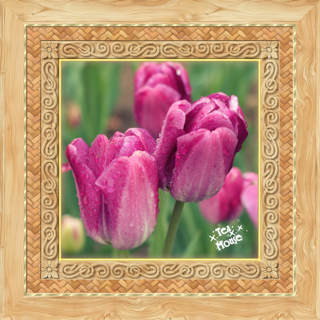 GC-8x8 Wooden Weaved Frame 96ppi.jpg