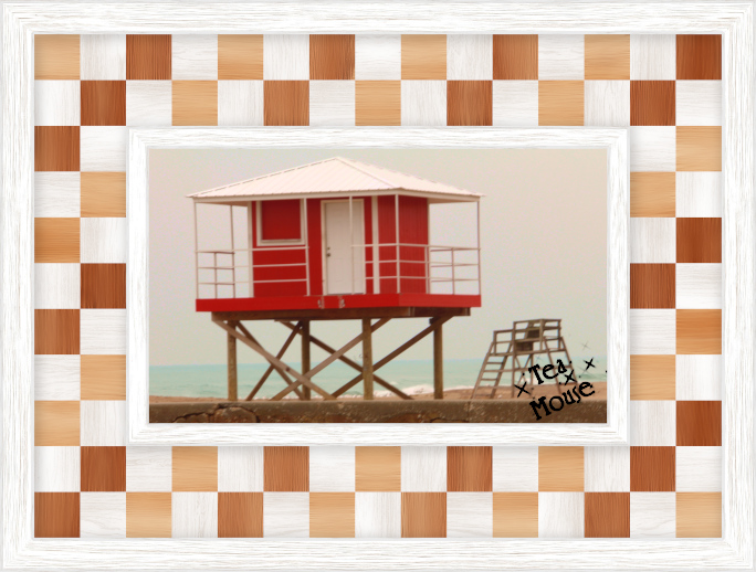 Gc-7 x 10 checkered-02.jpg