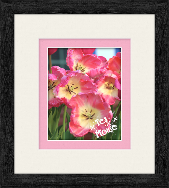 GC-8x10 black duotone soft pink.jpg