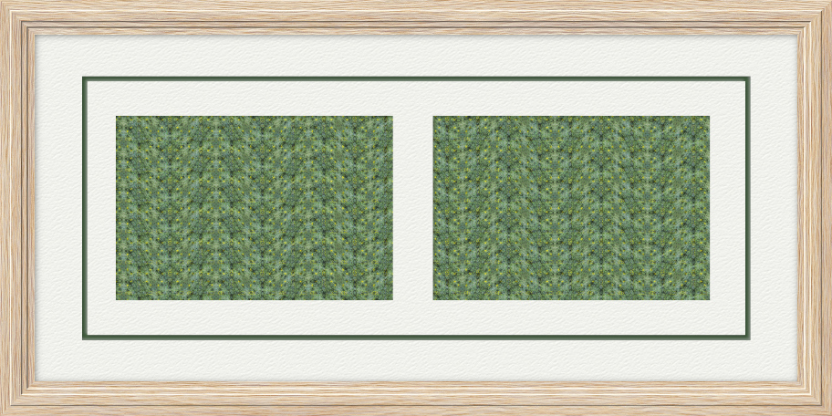 GC-Dble 4x6 Forest Green Trim Line.jpg