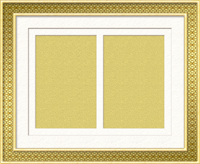 GC-double-image-12.png