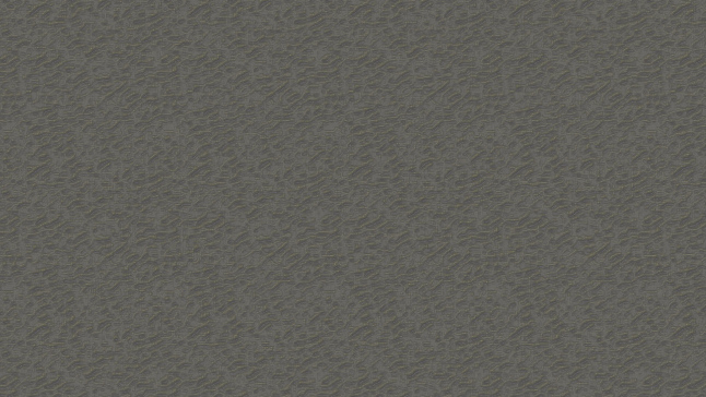 Master Texture Matt2.jpg