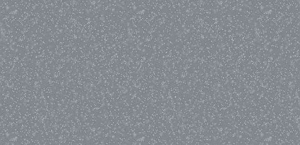GC-Photo Matt Texture - 04.jpg