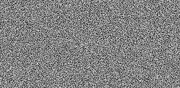 GC-Reticulation Noise Overlay.jpg