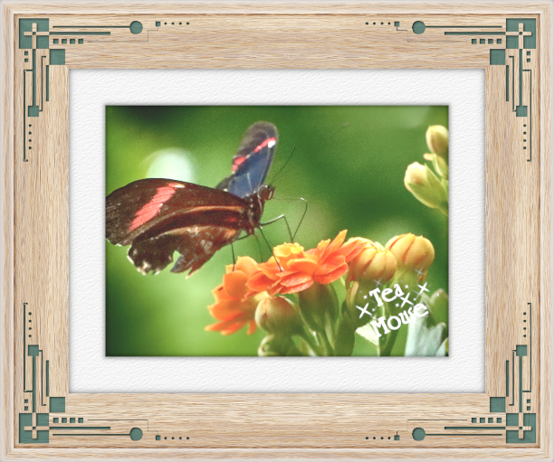 GC - Forest Green Art Corner.png