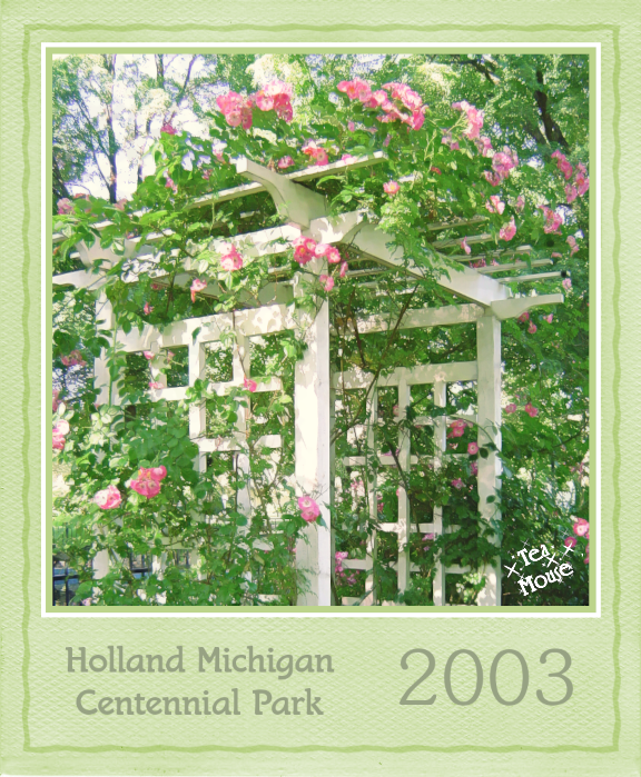 GC - Polaroid Color Lt Olive Green.png