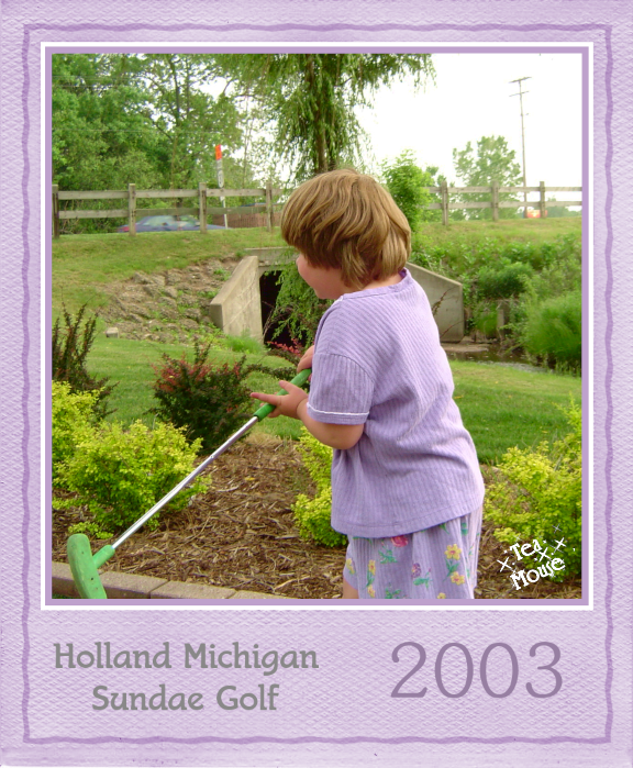 GC - Polaroid Color Lavander.png