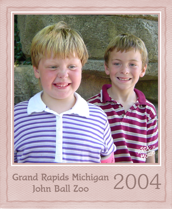 GC - Polaroid Color Tan.png