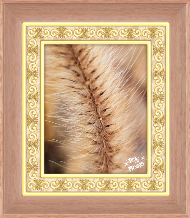 GC-9 x 7 Deco Md Wood- 01.png