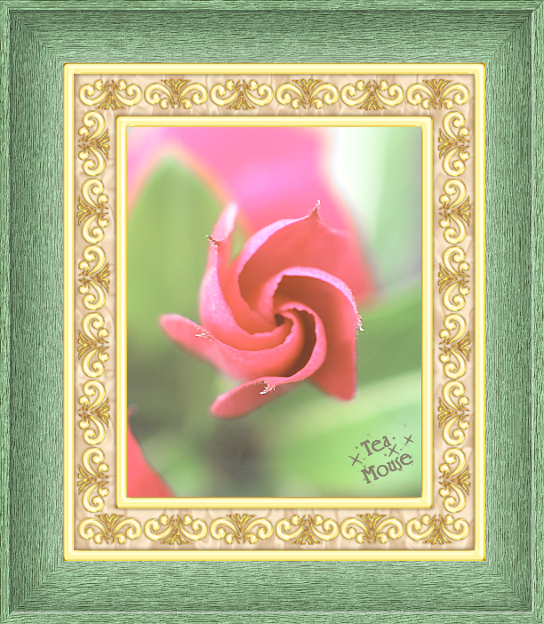 GC-9 x 7 Deco Green - 01.png
