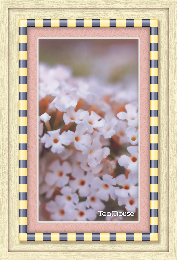 GC - 7 x 4 Checker Gold-Dk Gray Soft Pink.png