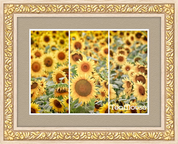 GC - 5 x 7 Gold Deco Flower Corner Soft York.png