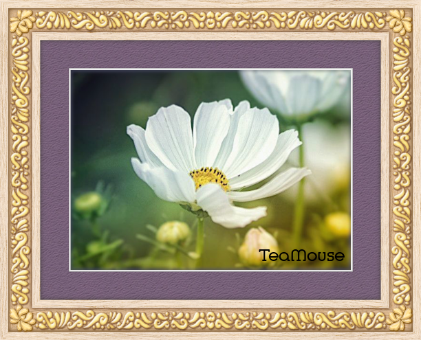 GC - 5 x 7 Gold Deco Flower Corner Purple Moutain.png