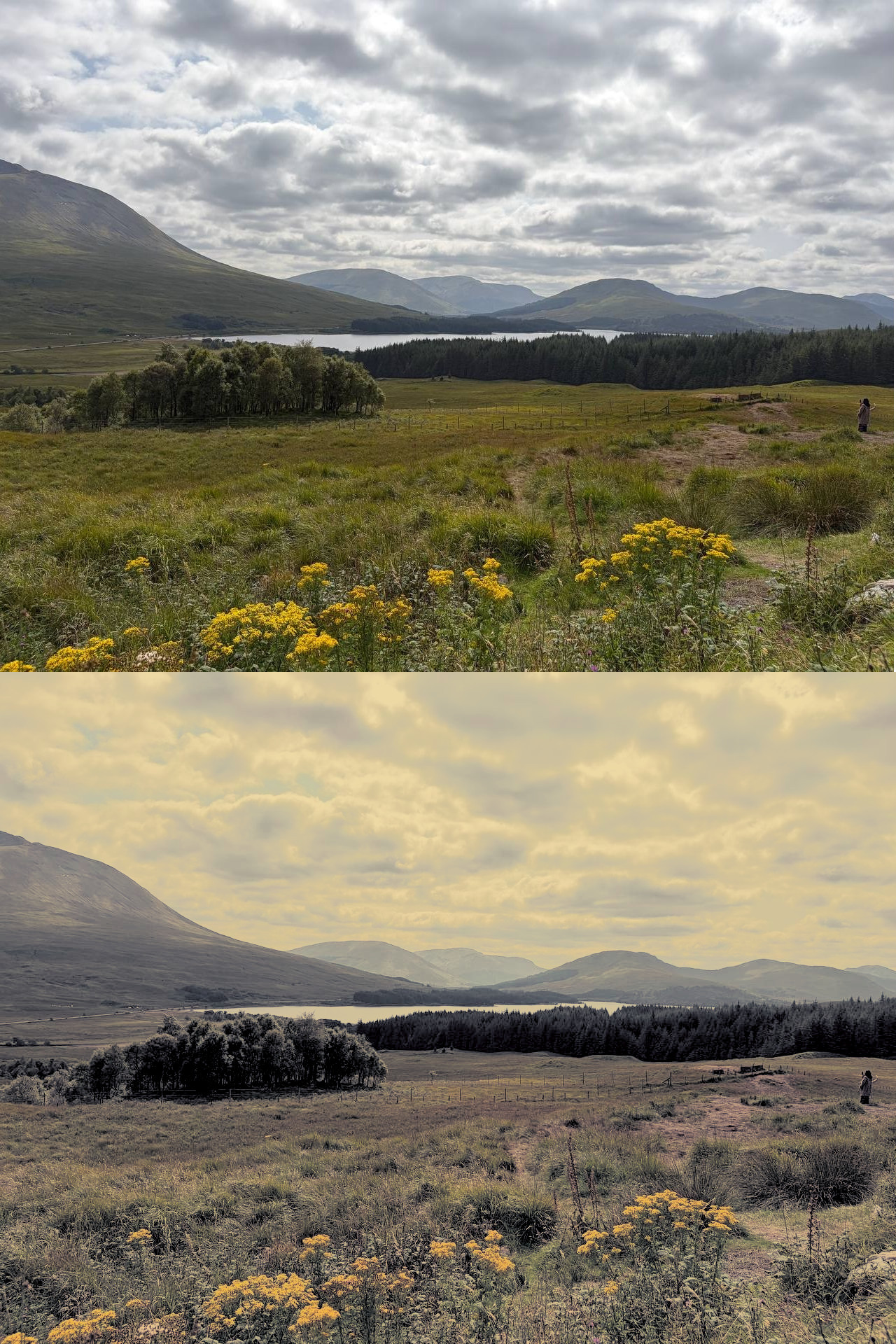 To Ben Nevis_SoftLight_Using_G'mic.jpg