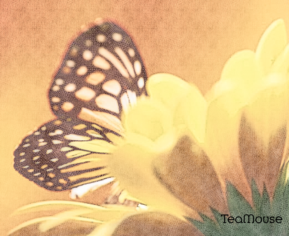 GC - Butterfly Cross Sketch Colored.png