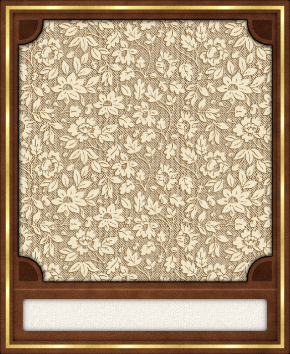 GC - Polaroid Leather Dk Brown.png