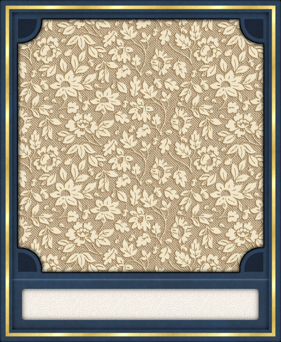 GC - Polaroid Leather Dk Blue Plus.png