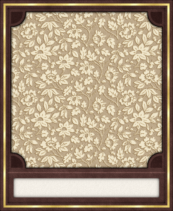 GC - Polaroid Leather Brown Plus.png