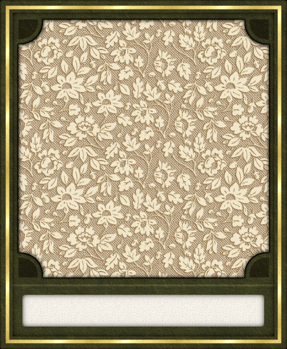 GC - Polaroid Leather Dk Green Plus.png