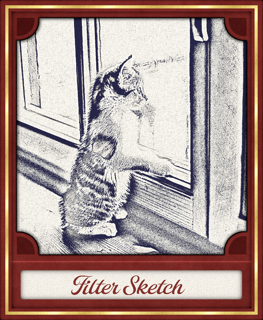 Cat_Sketch_Outcome_+_frame_Issa.jpg