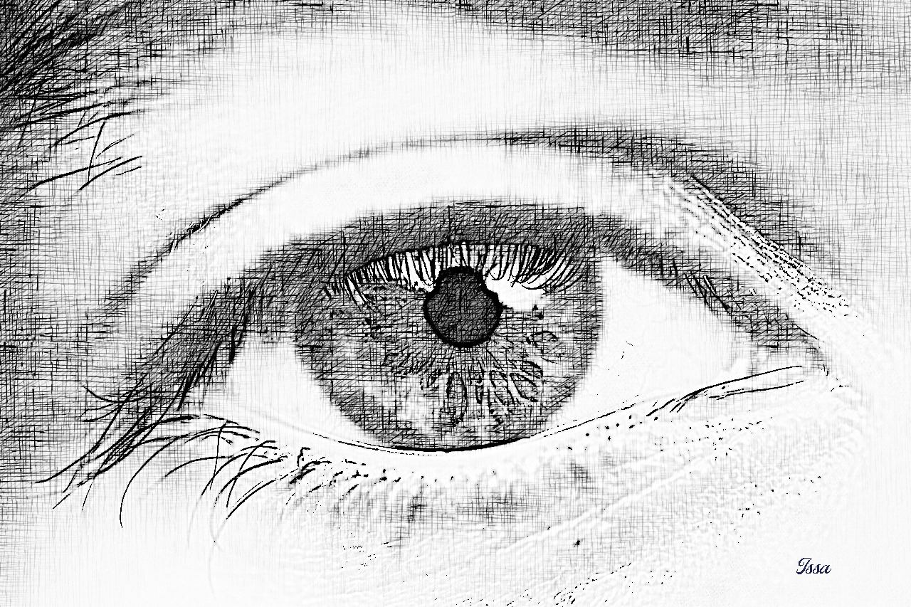 eye-CrossHatchSketch_Issa.jpg