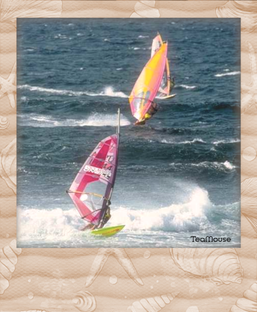GC - Polaroid Beach - 02.png