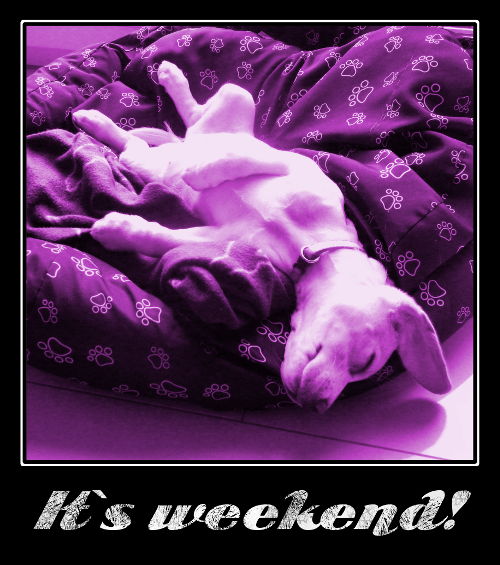 weekend.JPG