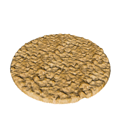 3Dcookie.png